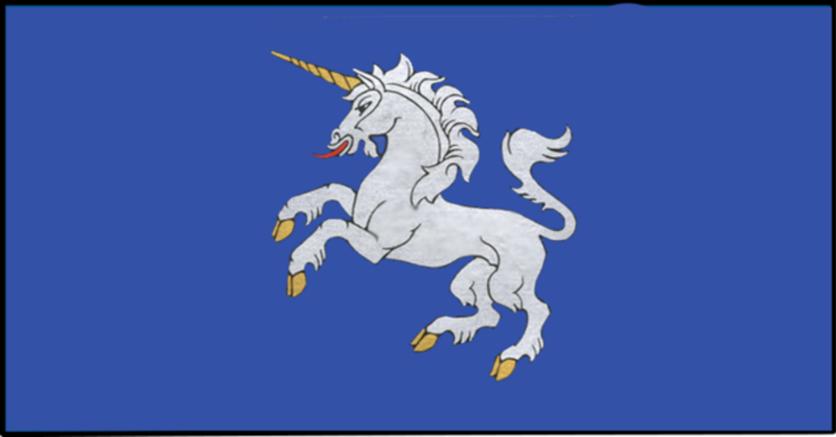 Flag of Merkiné, a town in the Dźūkija National Park in Lithuania 