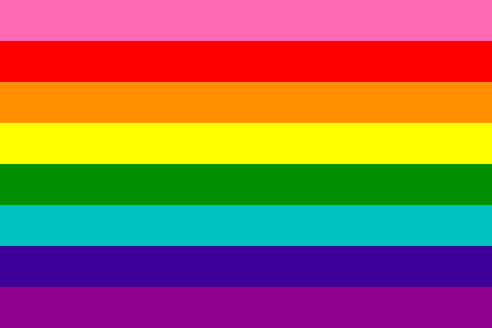 flag/flags with pink; LGBTQA+ / /Rainbow Flag