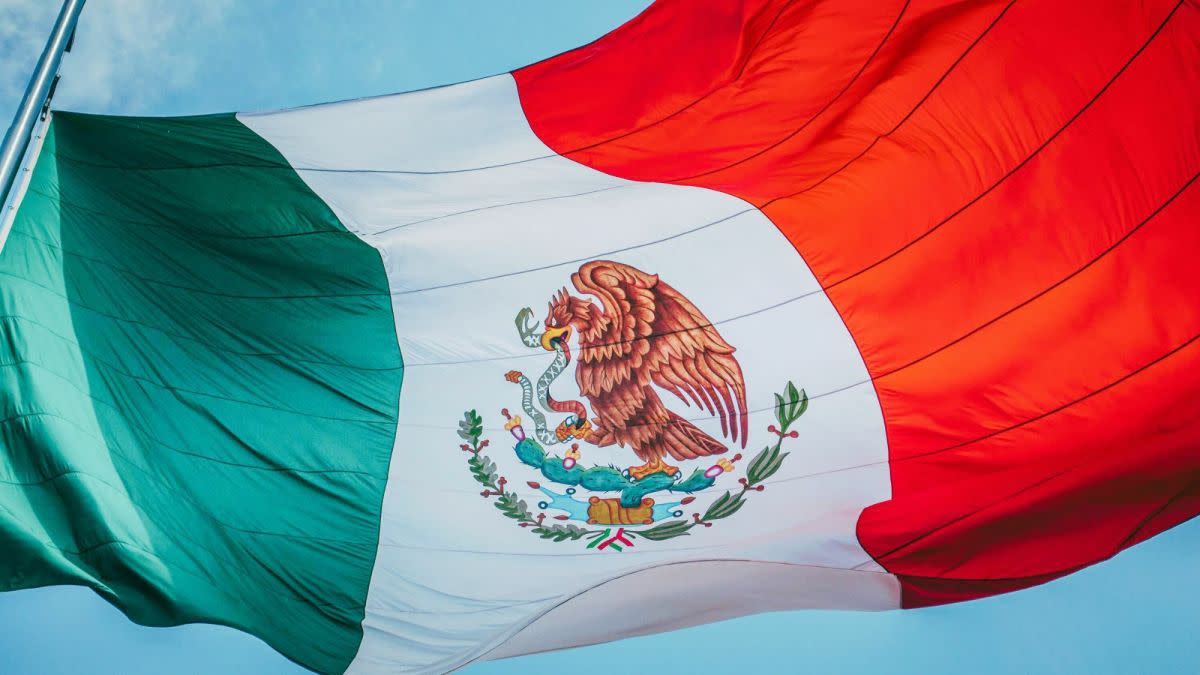 Mexico is the only country in the world  with a snake on their official flag.